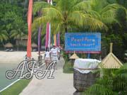 Philippine-Women-8776-1