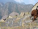 Machu-Picchu-021